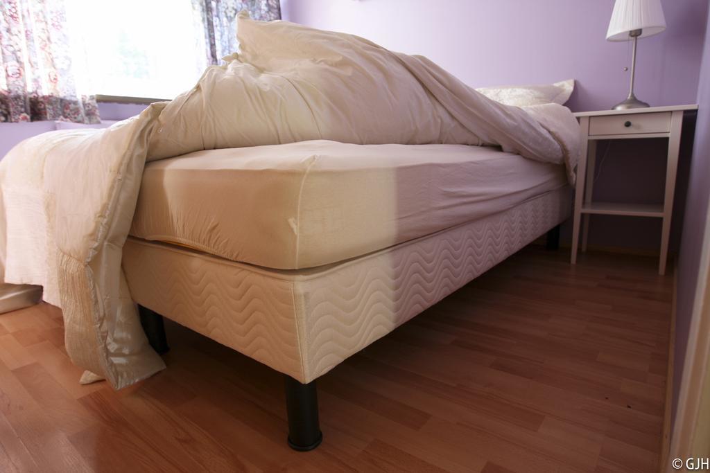 Seyðisfjörður Apartment Tungata מראה חיצוני תמונה
